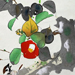 Seiho Takeuchi Gallery